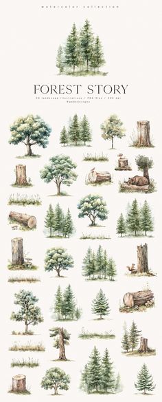 the forest story poster is shown with trees