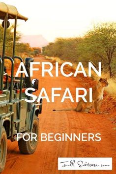 a safari vehicle driving down a dirt road with lions on the side and words african safari for beginners