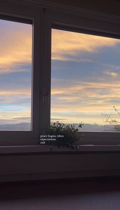 a window with a plant in it and the sky outside is very cloudy at sunset