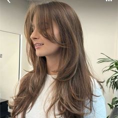 Long Hair Soft Layers Curtain Bangs, Box Layers With Face Framing, Long U Shaped Layers, Wispy Layers Long Hair, Hair For Fall 2024, Three Layer Haircut, Subtle Curtain Bangs Long Hair, Haircut Front Layers Face Framing, Lairs Haircut