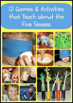 twelve games and activities that teach about the five senses