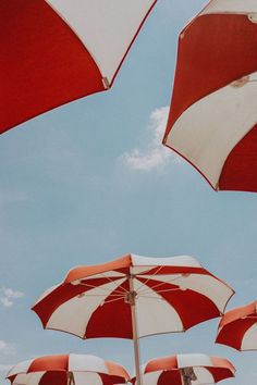 many red and white umbrellas under a blue sky