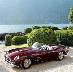 a red sports car is parked in front of some bushes and trees by the water