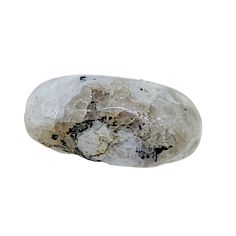 a white rock with black spots on it