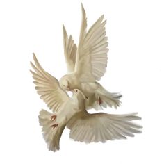 two white doves are flying in the air