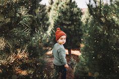 a young boy wearing a red hat standing in the middle of a pine tree forest