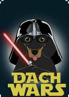 a dog wearing a darth vader helmet and holding a light saber in its mouth