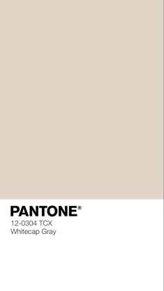 pantone's 12 004 tcx whitecap gray