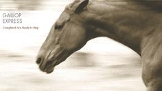 a black and white photo of a horse's head with the words gallop express on it