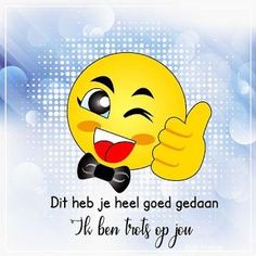 a cartoon emoticon giving the thumbs up sign with an expression that says, did he je hell good gedaan?