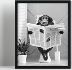 a monkey sitting on a chair reading a newspaper