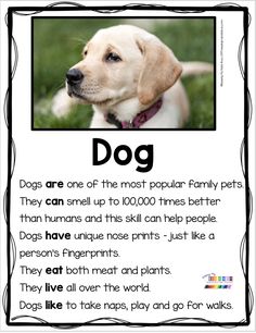 a poster with the words dog on it