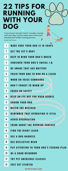 a poster with the words 22 tips for running with your dog