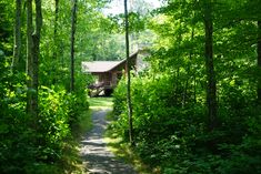 a small cabin nestled in the woods on a dirt path leading to it's entrance