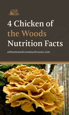 yellow mushrooms with the words 4 chicken of the woods nutrition fact on top of it