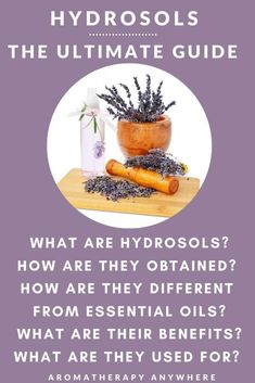 What Are Hydrosols? + Uses & Benefits - Aromatherapy Anywhere Mint Benefits, Diluting Essential Oils, Essential Oil Extraction, Distillation Process, Aromatherapy Benefits, Steam Distillation, Aromatherapy Blends, Citrus Oil, Parts Of A Plant