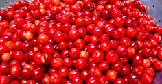 red cherries are in a purple bowl on the table and ready to be cooked