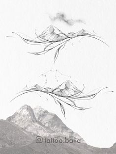 two birds flying in the sky over mountains