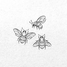 three bees flying in the air