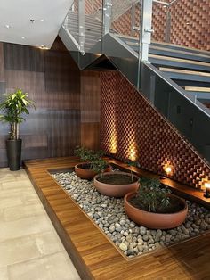 some plants are sitting in large pots on the floor next to a stair case with lights