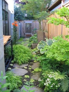 a garden with lots of plants and rocks