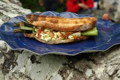 a blue plate topped with a sandwich on top of a tree