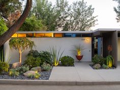 a modern house with plants and rocks in the front yard at dusk, as seen from across the street