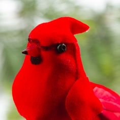 a red stuffed bird sitting on top of a table