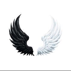 two black and white wings are shown in this graphic art work, one is shaped like an eagle