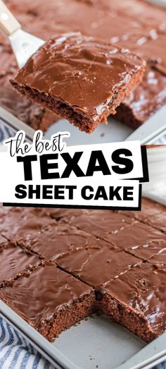 piece of chocolate sheet cake, lower photo sheet cake in sheet cake pan with slice cut out Simple Texas Sheet Cake, Taste Of Home Texas Sheet Cake, Ree Drummond Texas Sheet Cake, Texas Sheet Cake Small Batch, Texas Sheet Cake Easy, Texas Sheet Pan Cake, Texas Sheet Pan Cookies, Texas Sheet Cake In 9x13 Pan, Texas Sheet Cake With Coffee