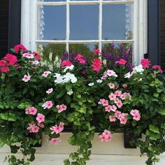 pink and white petunias in a window box