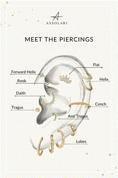 the parts of an ear in gold and white, with words describing which parts are labeled