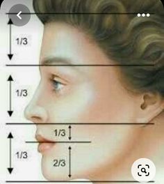 an image of a woman's profile with the measurements for her nose and head