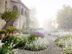 a garden with lots of plants and flowers on the ground next to a stone building