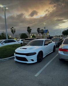 two white cars parked in a parking lot with palm trees and cloudy sky behind them