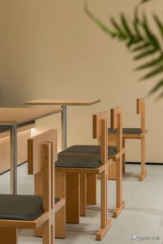 several chairs and tables in a room with a plant on the floor next to them