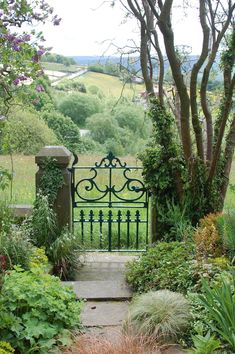 an iron gate in the middle of a garden