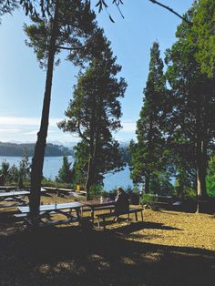 two people sitting at a picnic table in the shade by some trees and looking out over water