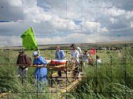 several people standing in the grass near a fence