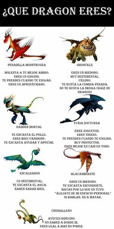 an image of the different types of dragon's wings and their names in spanish