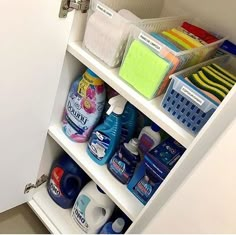 an organized pantry with cleaning products and detergents