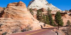 the road is lined with red rocks and pine trees in front of a tall mountain