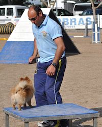 a man standing next to a brown dog on top of a blue table