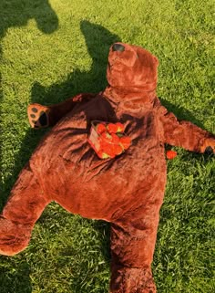 a teddy bear laying in the grass with some fruit on it's chest and head