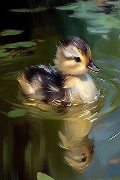 a duck floating on top of a body of water