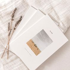 three blank cards on top of each other with dried flowers in the foreground and white linen behind them