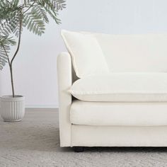 a white couch sitting next to a potted plant