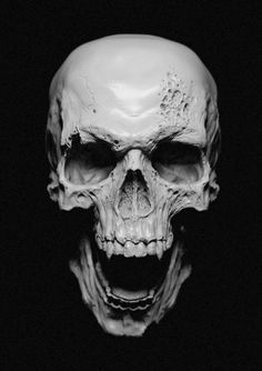 a human skull is shown in black and white