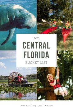 the central florida bucket list is filled with things to see and do