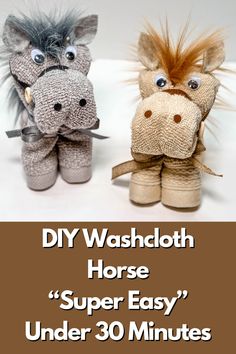 two stuffed animals with the words diy washcloth horse super easy under 30 minutes